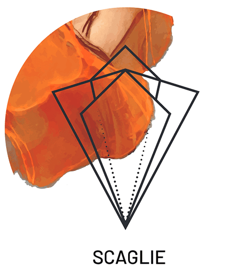 Collana Scaglie fantasy